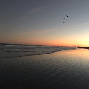 Meet your Posher, Mackenzie